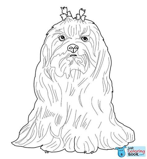 maltese dog coloring page  printable coloring pages