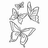 Butterfly Coloring Pages Drawing Butterflies Small Printable Garden Color Kids Easy Patterns Clip Colouring Print Spring Mandala Children Momjunction Drawings sketch template