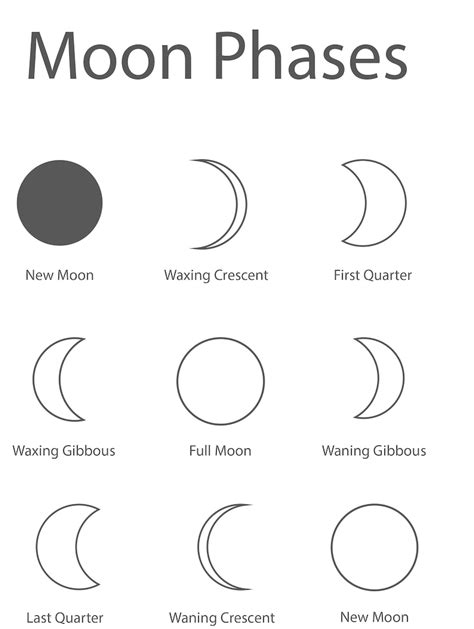 moon phases coloring sheets etsy