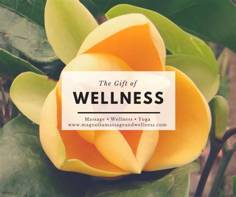magnolia massage  wellness contacts location  reviews zarimassage