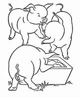 Pigs Porcos Comendo Colorir Cerdo Colouring Cerdos Flag Tudodesenhos Honkingdonkey Coloringhome sketch template