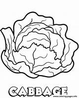 Cabbage Repolho Carrot Topcoloringpages Colorironline sketch template