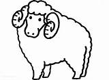 Coloring Sheep Bighorn Pages Getcolorings sketch template