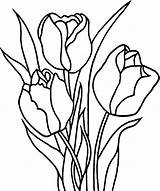 Tulip Coloring Pages Printable Kids Tulips Drawing Clipart Clip Print Awesome Line Flower Flowers Spring Pencil Books Color Outline Drawings sketch template