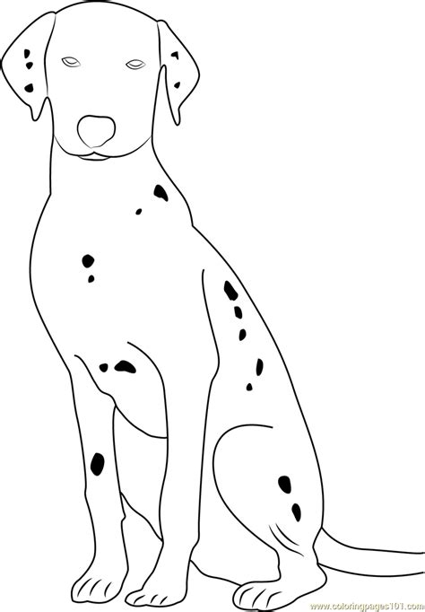 dalmatian dog portrait coloring page  kids  dog printable