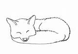 Fox Sleeping Draw Step Easy Animals sketch template