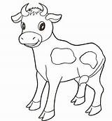 Coloring Baby Cow Pages Animals Calf Printable Clipart Animal Longhorn Drawing Print Farm Cute Adults Cows Supercoloring Color Colouring Kids sketch template