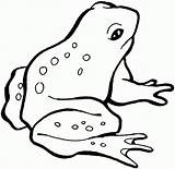 Frog Coloring Pages Frogs Kids Small Printable Drawing Hopping Prince Book Ready Color Children Popular Pattern Getdrawings Getcolorings Coloringhome sketch template