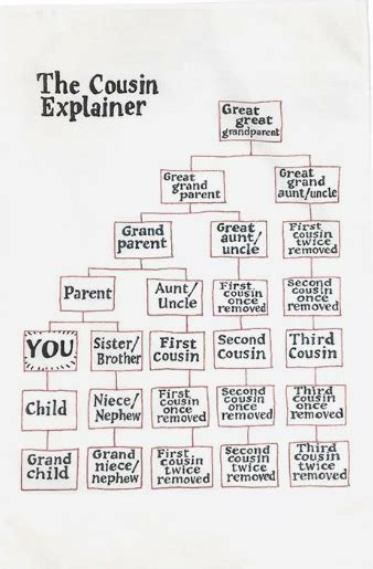 cousin explainer coolguides family tree genealogy family history book ancestry family tree