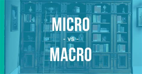 macro  micro     correctly enhancemywritingcom