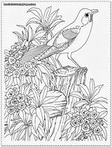 Coloring Pages Realistic Bird Adults Birds Printable Print Detailed Color Difficult Flower Animal Adult Garden Kids Designlooter Drawings Choose Board sketch template
