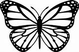 Butterfly Clipart Outlines Outline Drawing Clip Library sketch template