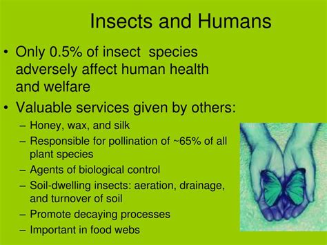 insects powerpoint    id