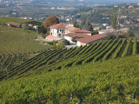 wine estate wineries vineyards  sale