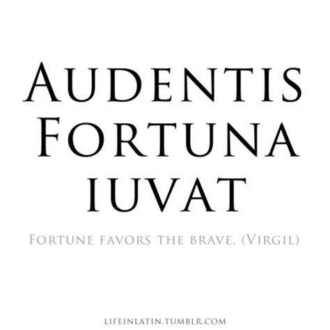 la fortuna favorece  los valientes quote frases