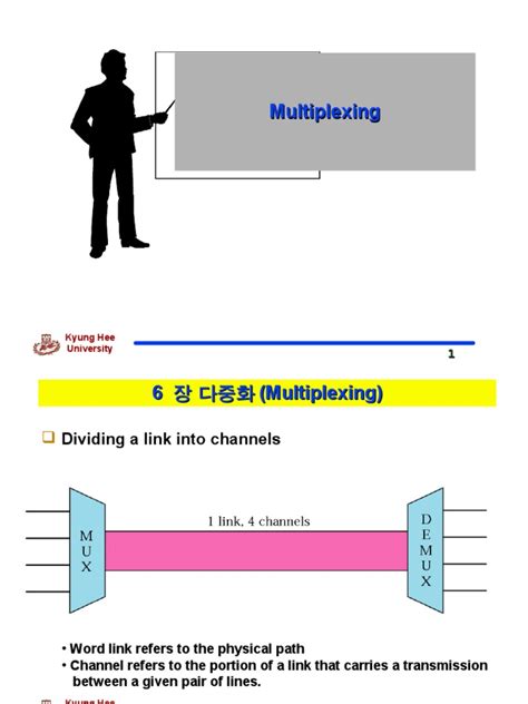 multiplexing multiplexing modulation