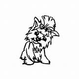 Terrier Yorkshire Coloring Pages Yorkie Clipart Clipartmag Cliparts Print sketch template