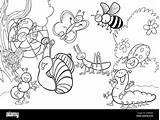 Prato Insetti Wiese Insects Insekten Fumetto Meadow Alamy sketch template