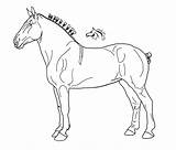 Horse Draft Coloring Pages Lineart Deviantart Shire Drawing Horses Drawings Carabao Sketch Draught Body Parts Color Line Printable Getcolorings Animal sketch template