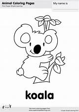 Pages Cute Koala Coloring Baby Kids Bear Printable Color Print Koalas Simple Super Getdrawings Getcolorings sketch template