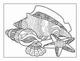 Coloring Beach Pages Printable Seashell sketch template