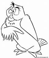 Coloring Owl Disney Pages Printable sketch template