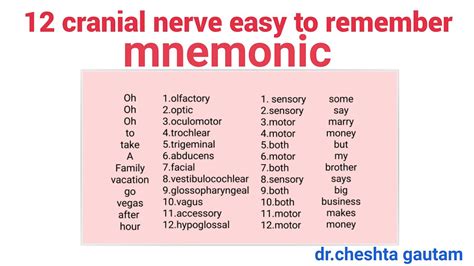 cranial nerves mnemonic easy  remember youtube
