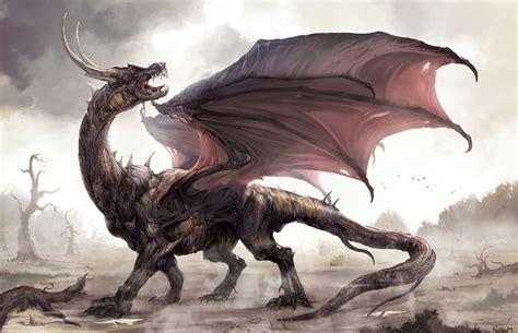 zombie dragon  young hwan lee rimaginarydragons