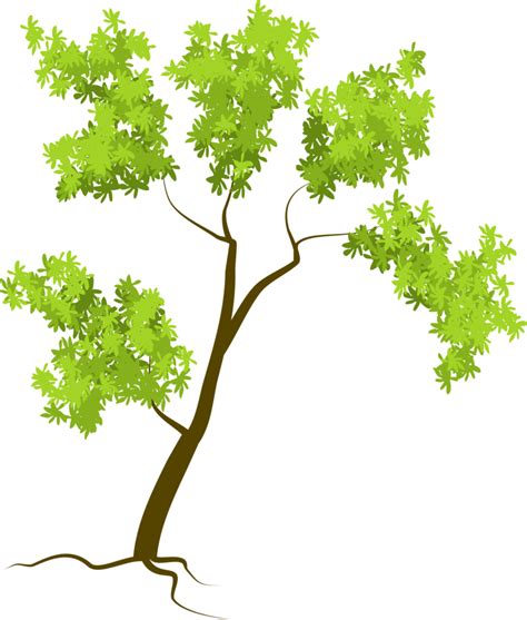 tree forest tree  png