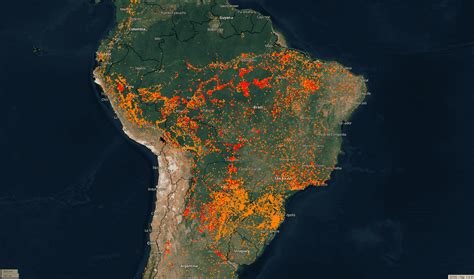 amazon rainforest   set  fire  wildfire smoke