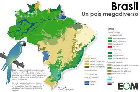 curiosidades sobre  brasil world languages quiz quizizz