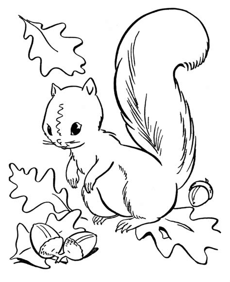 fall coloring pages  coloring kids