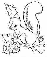 Fall Coloring Sheets Squirrel Nuts Pages Activity Print Gathering sketch template