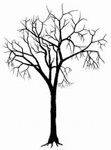 Dead Tree Drawing Spooky Getdrawings sketch template