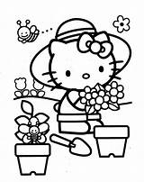 Kitty Hello Pages Colouring Coloring Printable sketch template