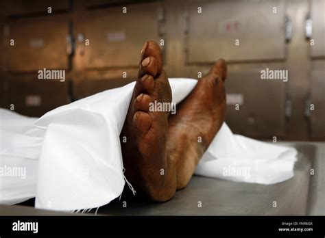 morgue feet  res stock photography  images alamy