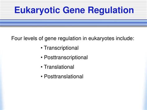ppt eukaryotic gene regulation powerpoint presentation free download