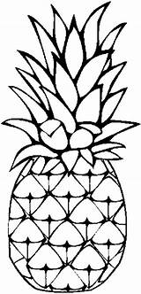 Pineapple Coloring Clipart Drawing Outline Pages Printable Clip Colouring Pine Pineapples Sweet Caribbean Cartoon Sheets Cliparts Color Print Draw Fruit sketch template