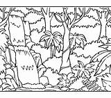 Rainforest Coloring Pages Kids Print Printable Color Getcolorings Colouring sketch template