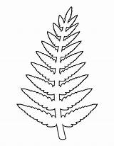 Fern Pattern Outline Template Coloring Leaves Leaf Stencil Clipart Printable Stencils Drawing Flowers Patternuniverse Flower Paper Use Crafts Templates Patterns sketch template