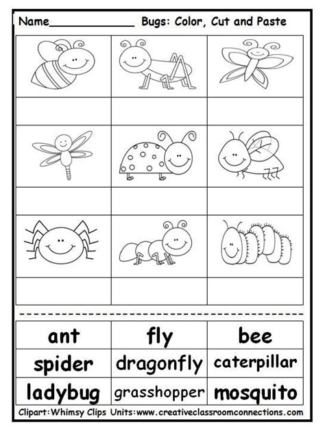 insects preschool kindergarten worksheets bug activities