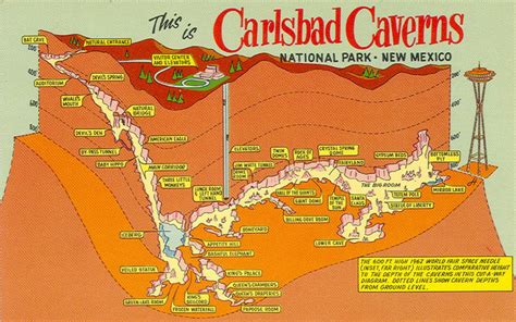 carlsbad caverns maps npmapscom   maps period