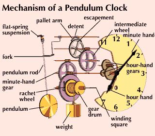 essential parts   grandfather clock pendulum clock  diagram  xxx hot girl