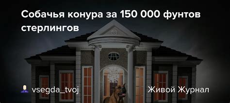 Собачья конура за 150 000 фунтов стерлингов Vsegda Tvoj — Livejournal