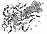 Squid Sperm Whale Colouring Washable sketch template