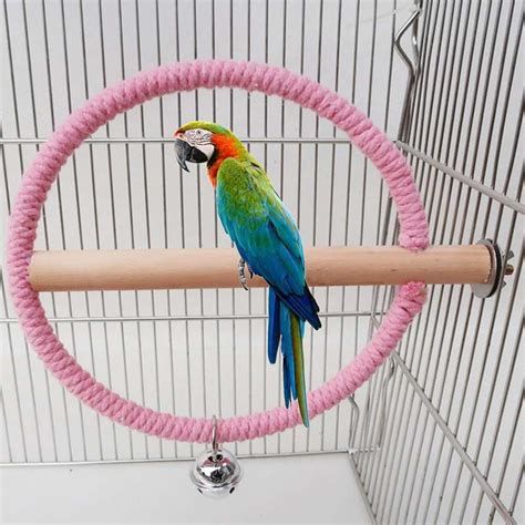 promo playground natural wooden parrot swing stand macaw chicken cage chewing standing climbing