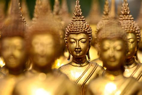 gautam buddha hd wallpaper  gallery