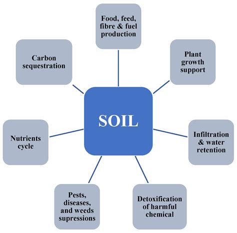 soil systems  full text conservation agriculture