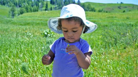 free images nature grass person plant girl field