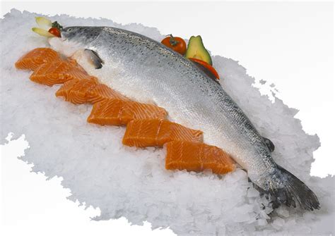 gambar makanan hinggap segar ikan salmon fillet